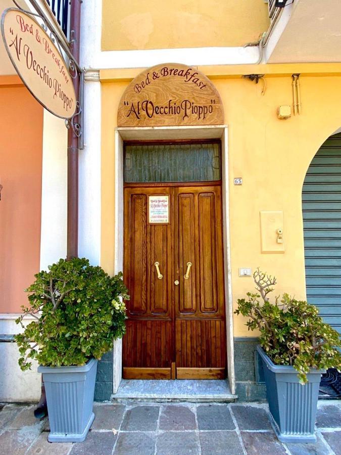 Al Vecchio Pioppo Bed and Breakfast Praia a Mare Buitenkant foto