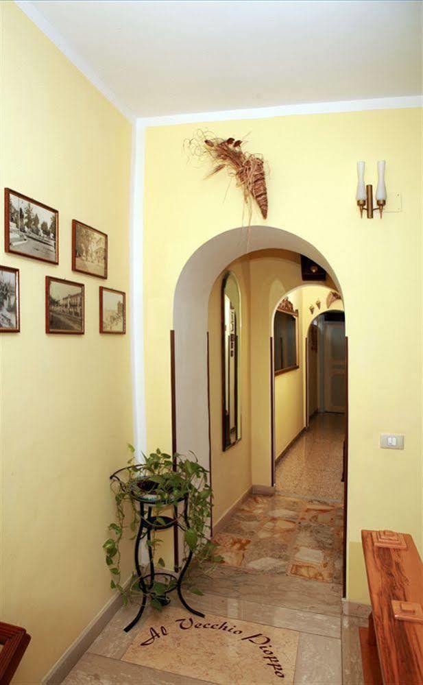 Al Vecchio Pioppo Bed and Breakfast Praia a Mare Buitenkant foto